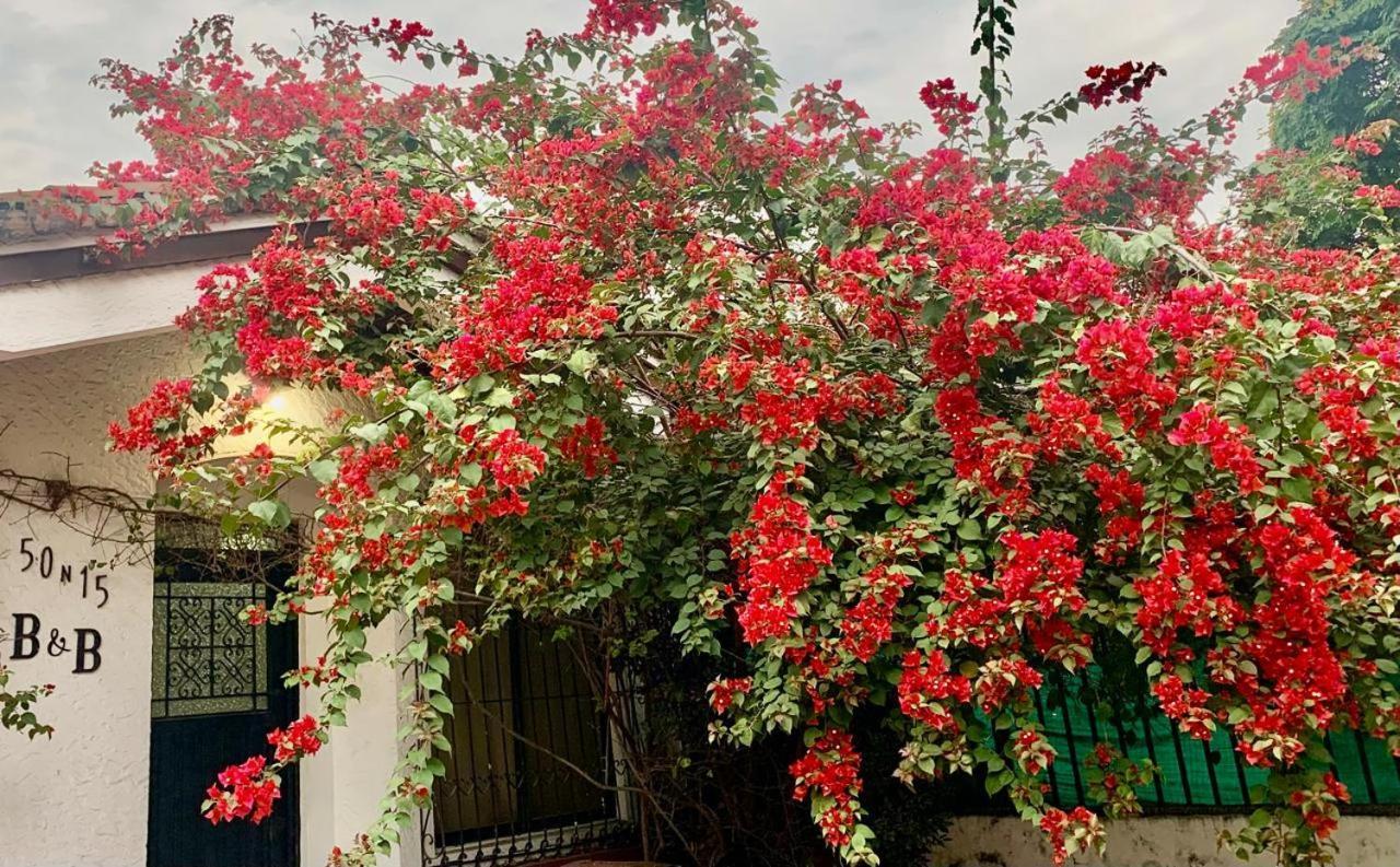 50N15 B&B Cali Exterior photo